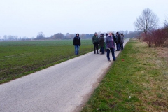 N11