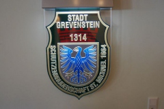 V41
